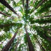 helderwetende Natasha- Hi, ik ben er voor jou voor als jij even de bomen door het bos niet meer ziet staan. Ik zet jou graag in je volle kracht en eigen energie stel jezelf a.u.b. ook open voor mij. Alleen dan kunnen wij samen kijken wat voor advies bij jou past en wat jouw toekomst jou mag brengen. Ik help je zeer graag bij een rouwproces of gemis van een dierbare. Wellicht mag ik wel een mooie boodschap aan u doorgeven. Mijn doel is om jou met een glimlach en inzicht achter het scherm vandaan te laten gaan en dat jij verder kunt met mijn inzichten. Paranormale hulplijn waar een helderwetende  je  paranormale inzichten geeft. Helderwetenden geven nu paranormaal advies.